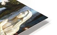 Serenity Coast HD Metal print