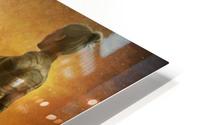 The Goddess Suns HD Metal print