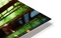 The Forest Vale Ruins HD Metal print