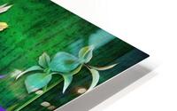 Iris Versicolor or Water Iris HD Metal print