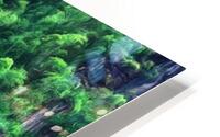 Wyvern Bay HD Metal print