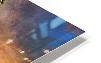 Backyard HD Metal print