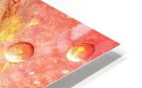 Infinite Rose HD Metal print