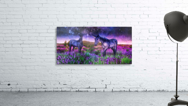Dreaming Real Wall Preview