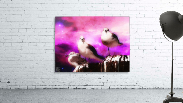 Seagulls Wall Preview