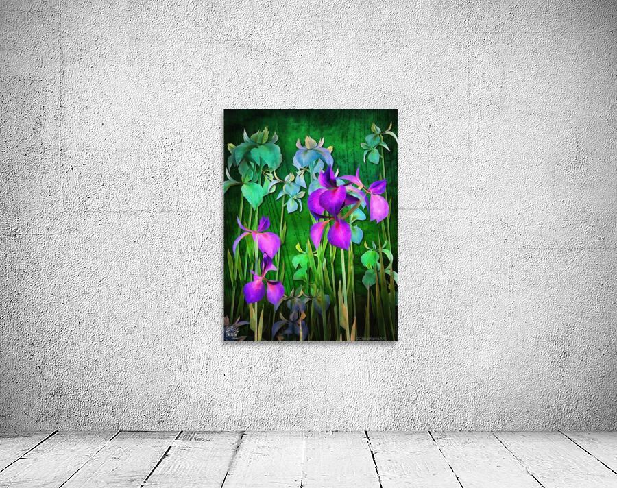 Iris Versicolor or Water Iris Wall Preview