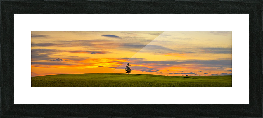 Sunset Pano Picture Frame print
