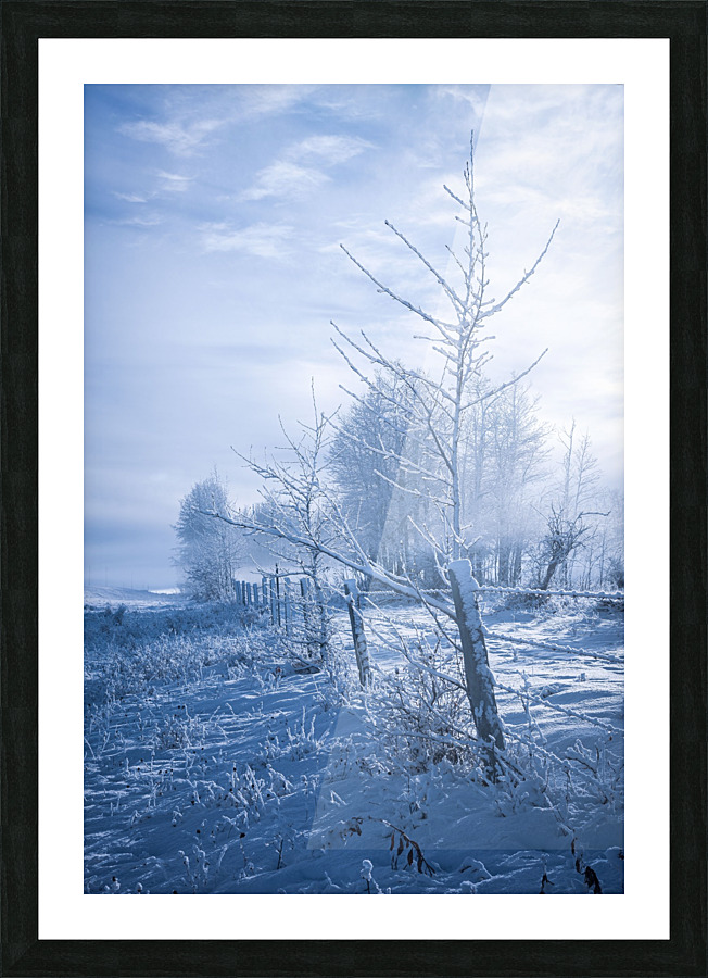 Winter Blues Picture Frame print