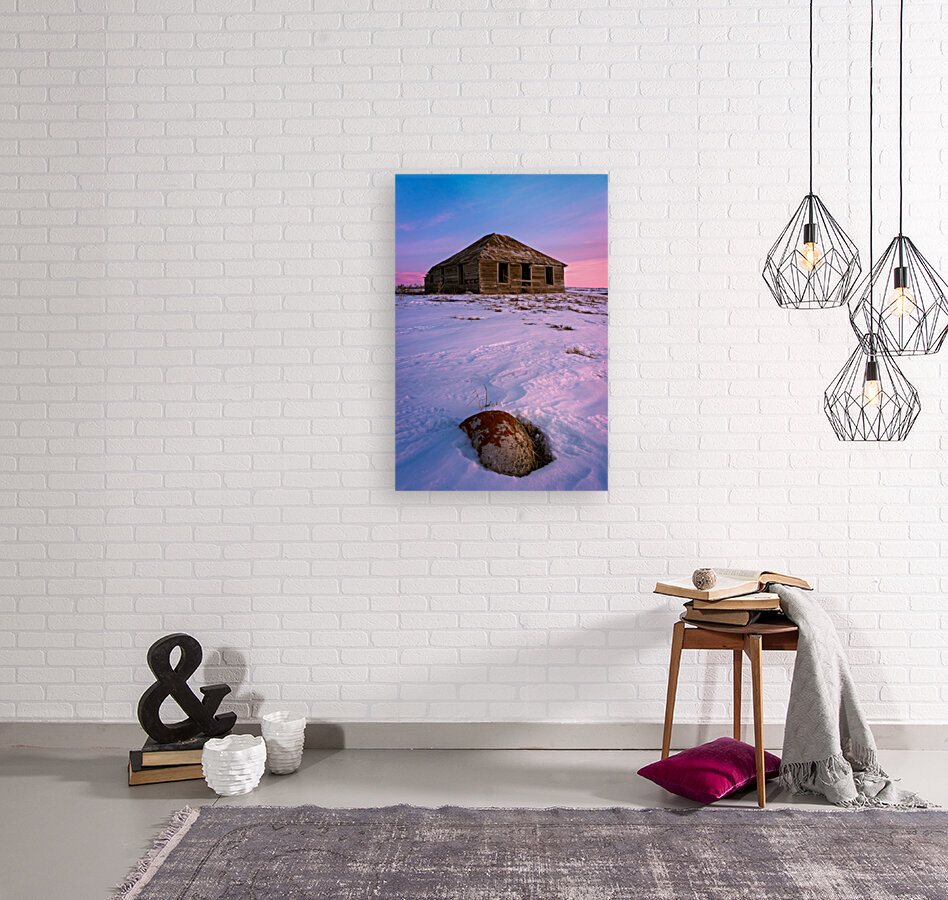 Abandoned Pink Reproduction