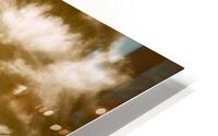 Rowleys Ride HD Metal print