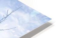 Winter Blues HD Metal print