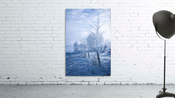 Winter Blues Wall Preview