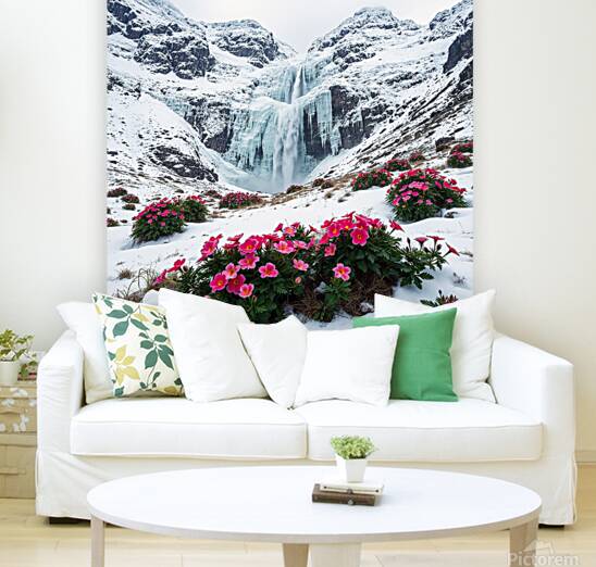 Winters Blush Reproduction