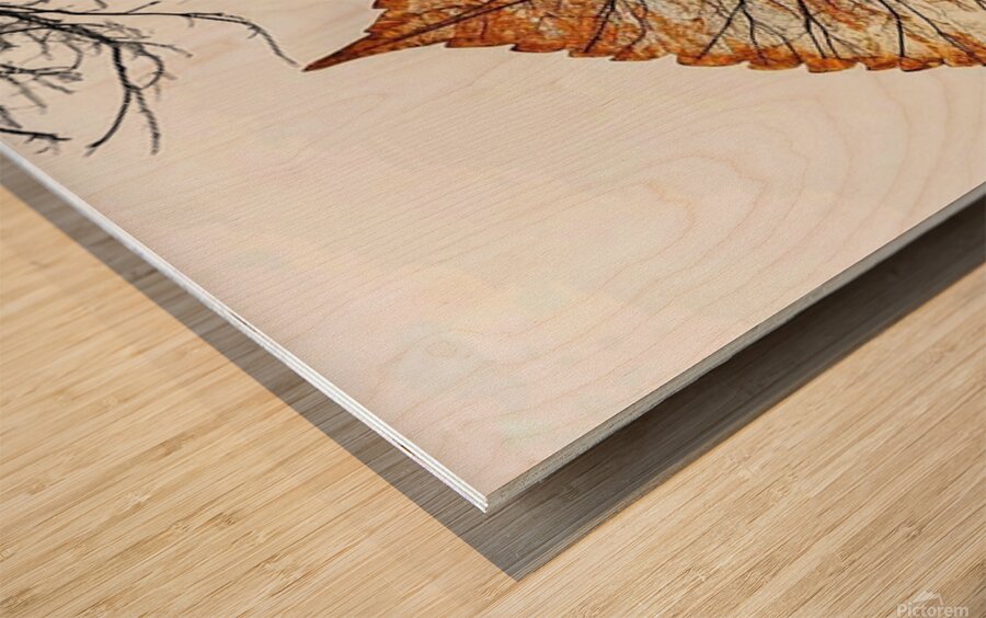 Autumn’s Canvas Wood print