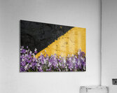 background with purple and white spring flowers.j Acrylic Print