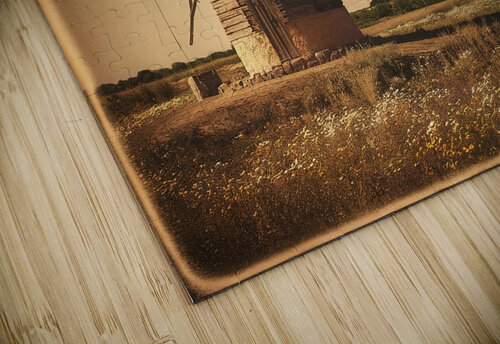 retro windmill in field VeronicMorar puzzle