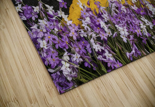 background with purple and white spring flowers.j VeronicMorar puzzle