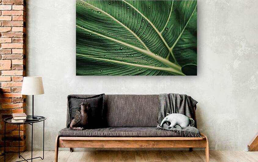 a tropical leaf capturing the intricate details 1 by VeronicMorar