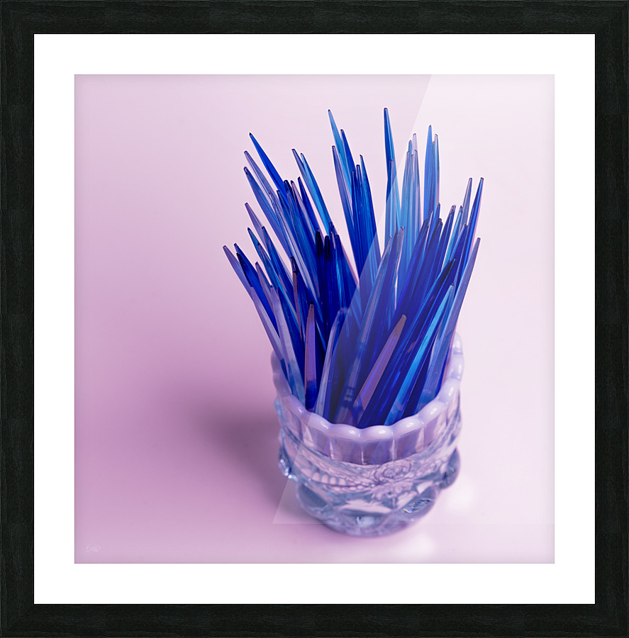 Blu 2thPics Picture Frame print