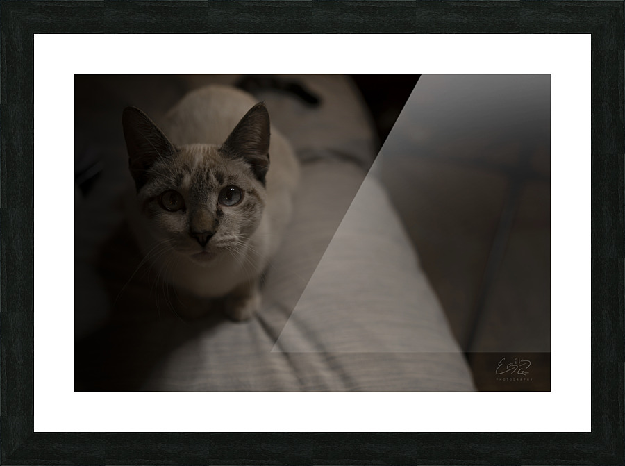 Wanna Play  Picture Frame print