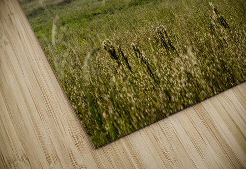 Beautiful Barn Erik Griggs puzzle