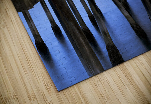 Under SM Pier Erik Griggs puzzle