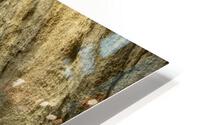 Inside  The Baths  HD Metal print
