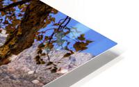 Convict Lake HD Metal print