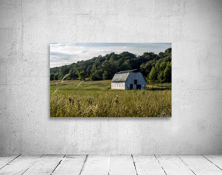Beautiful Barn Wall Preview