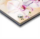 Blooming Raindrop Elegance Acrylic print