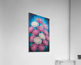 Blooming Petal Symphony Acrylic Print