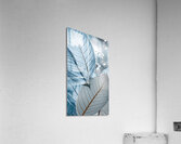 Ethereal Leaf Harmony Acrylic Print