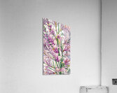 Blossoming Elegance Unveiled Acrylic Print