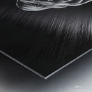 Icy Allure Gaze Metal print