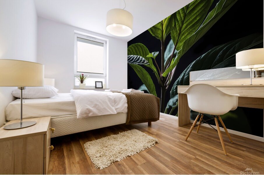 The Elegant Kratom Mural print