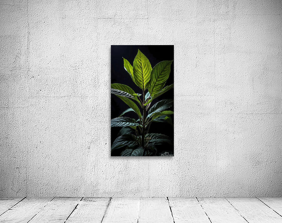 The Elegant Kratom Wall Preview