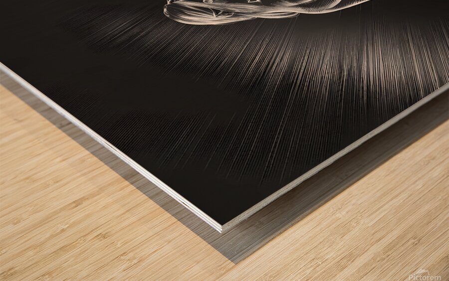 Icy Allure Gaze Wood print