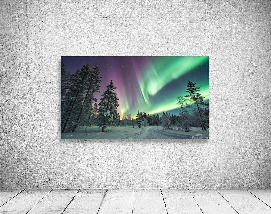 Aurora Borealis Over a Snowy Forest Wall Preview