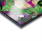 Clandestine Quarters of the Spring Snake Acrylic print