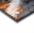 Zimbabwe Gakachika Acrylic print