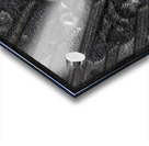 Approximately 250 Kilometers From Manaus Acrylic print