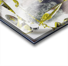5TEP2 Acrylic print