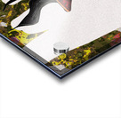 Sweart Fyr Acrylic print