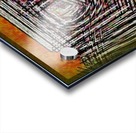 Supernatet Labyrinthus Acrylic print