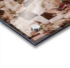 Sequoiadendron Giganteum Acrylic print