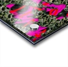 200 Meter Dash Acrylic print