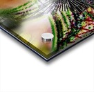 4Colon29AM7Solidus29Solidus2020 Acrylic print