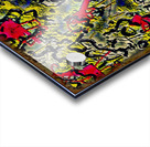 Gut Microbiota Acrylic print
