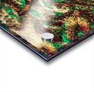Surfacing the Scratch Acrylic print