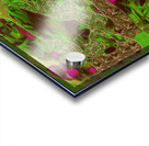 M.C. Escher Salad Acrylic print